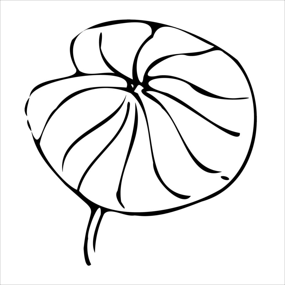 Asia girl in sakura and bamboo. Japan traditions of the east. Spa elements for the logo .Drawing doodle style. vector