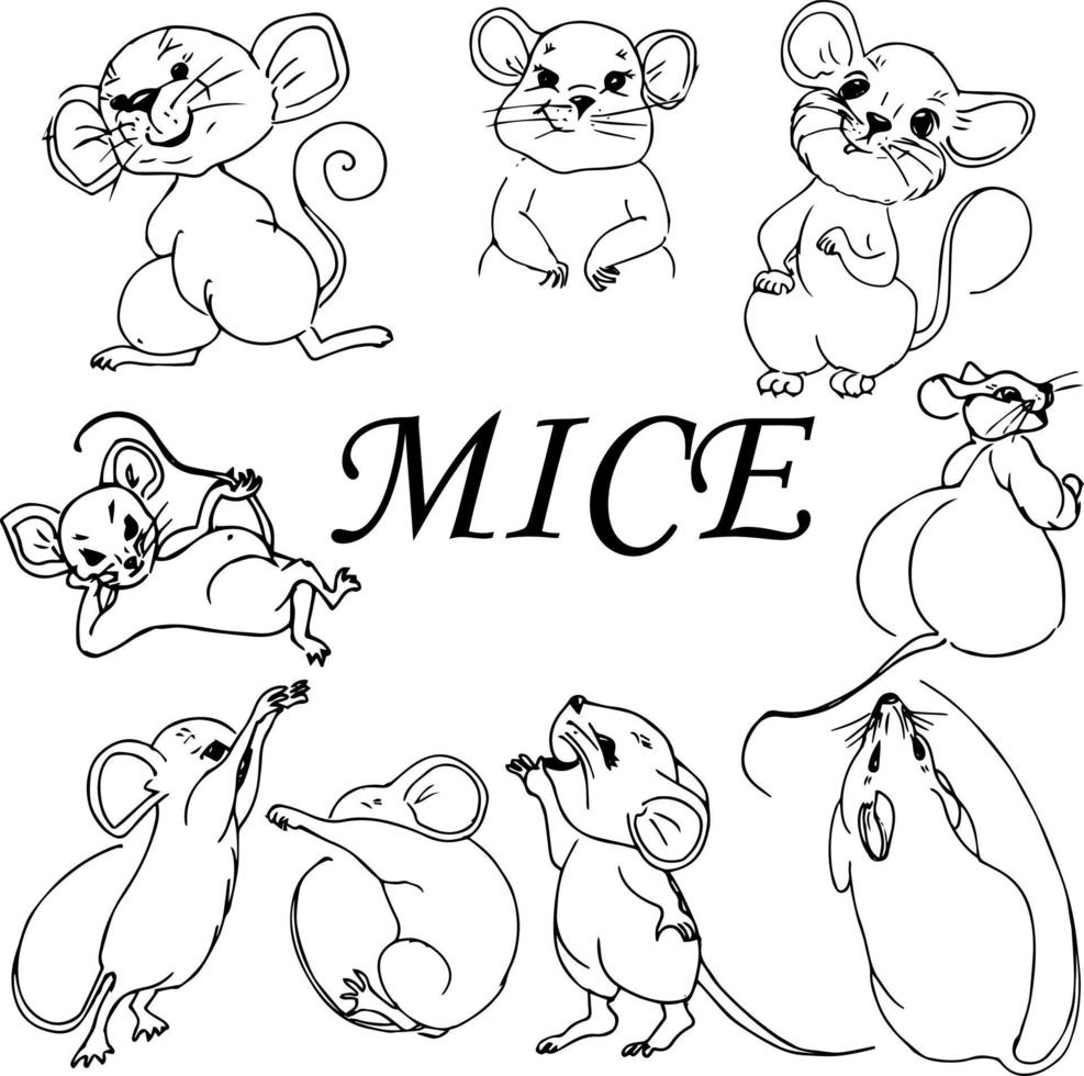 A mouse with roughs and flowers. Doodle style .Children's illustration coloring book. vector