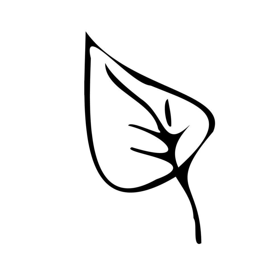 Flower Botanical plants. Doodle style.Logo icon. vector