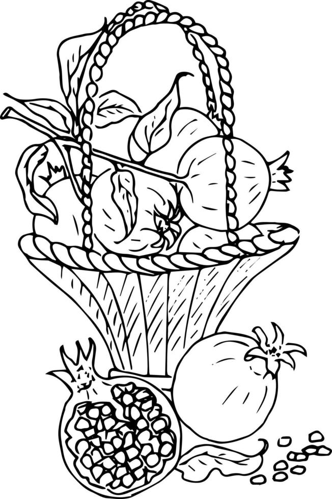 bayas de frutas en una canasta. manzanas, granadas, ciruelas. ilustración de fideos, libro de colorear para adultos y niños. vector