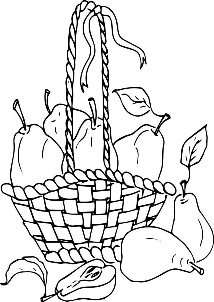 bayas de frutas en una canasta. manzanas, granadas, ciruelas. ilustración de fideos, libro de colorear para adultos y niños. vector