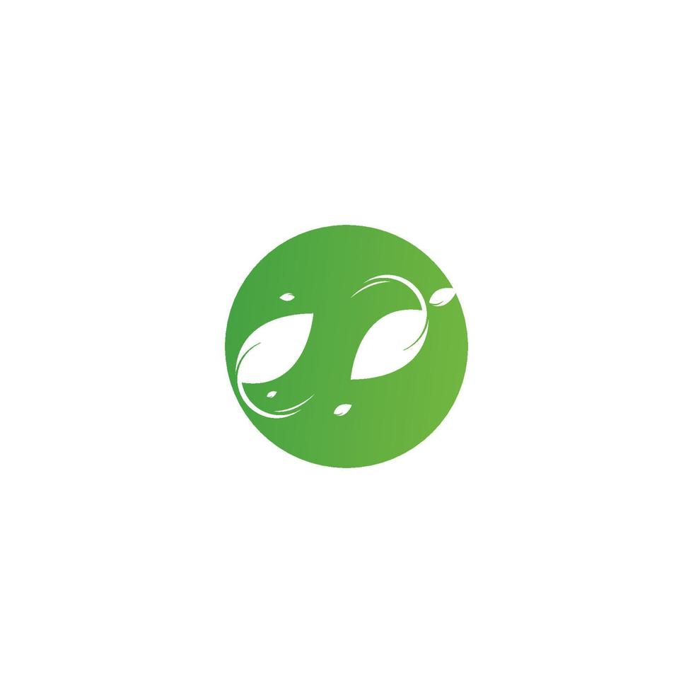 leaf ecology nature element vector