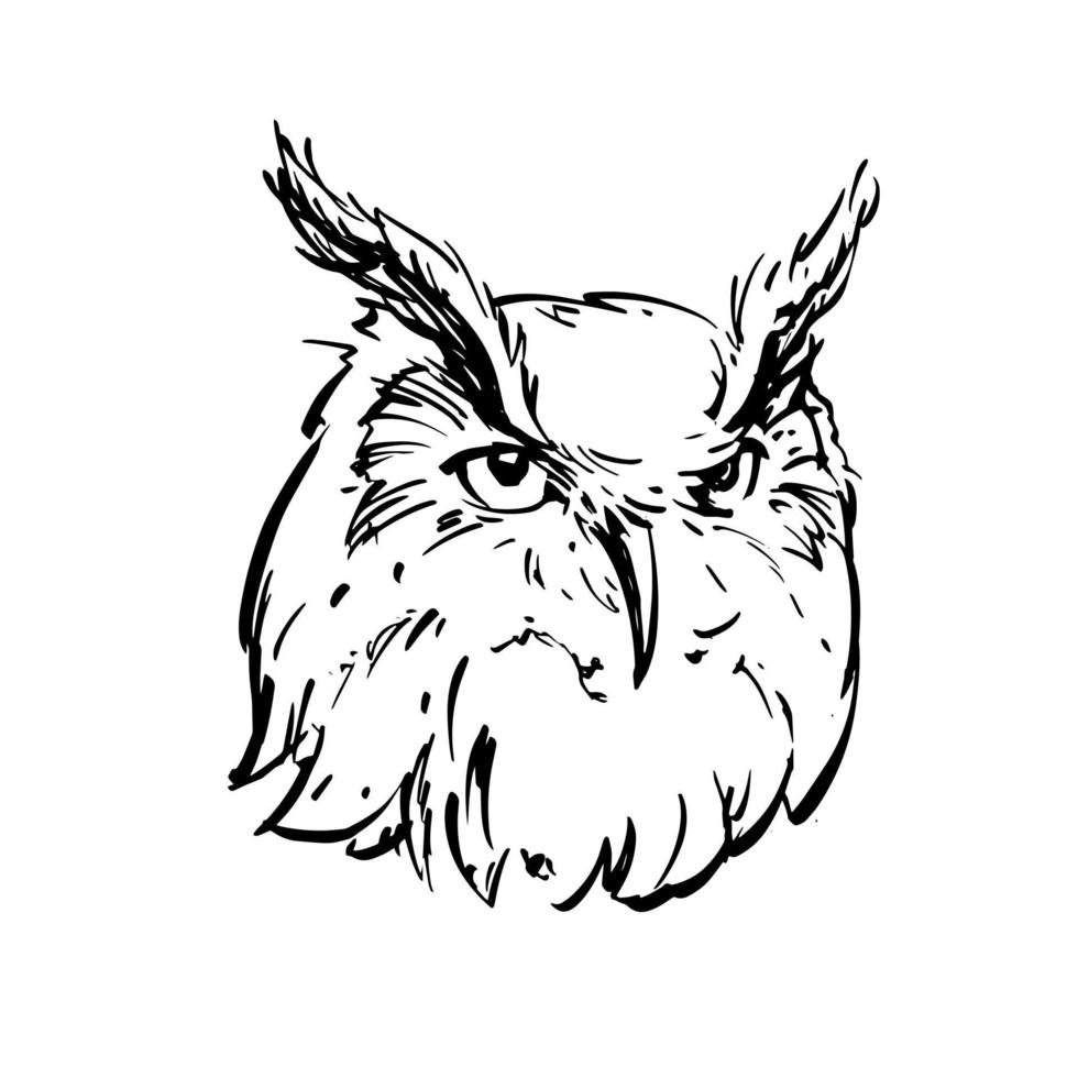 Realistic black and white drawing of an owl's head. For coloring. vector