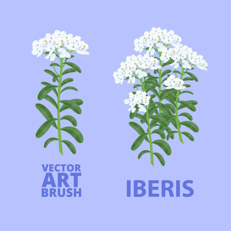 A ready-made Iberis art brush for painting a landscape. Vector illustration.