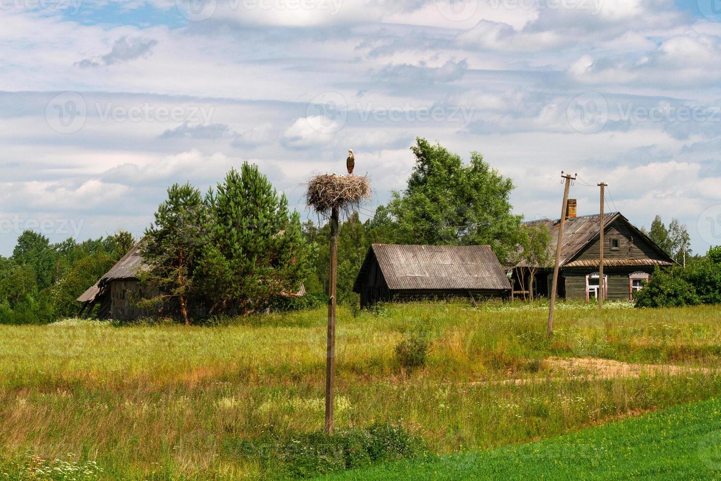 Latvian summer landscapes with hay rolls photo