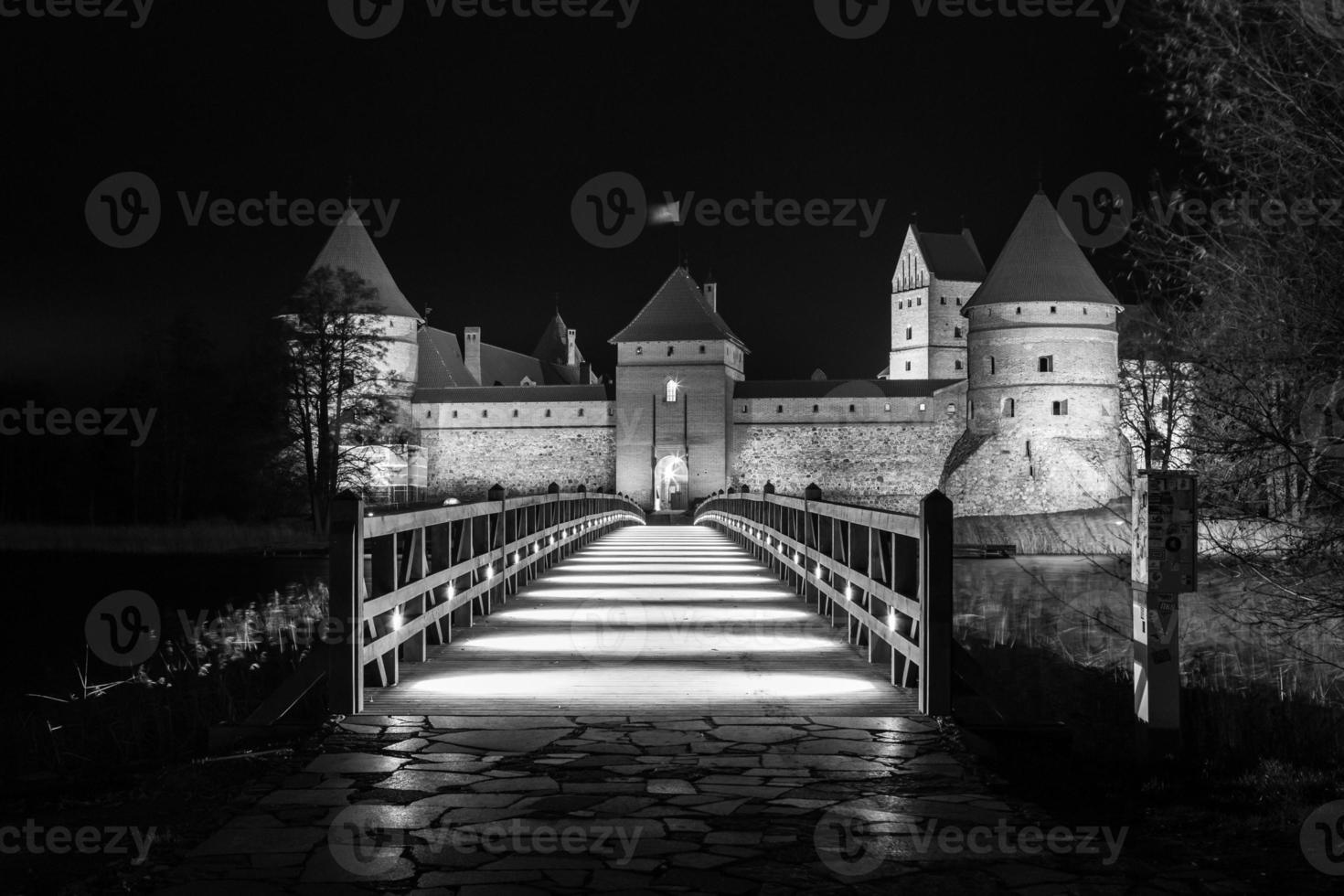 Trakai castle at night photo