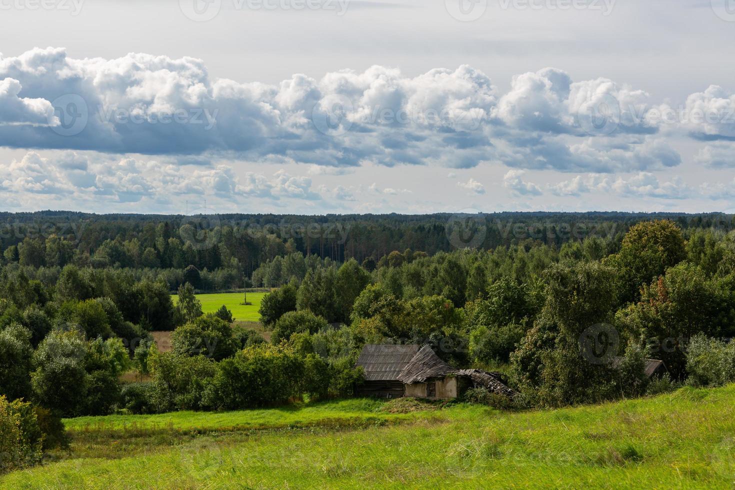 Summer Landscapes  in Latvia photo