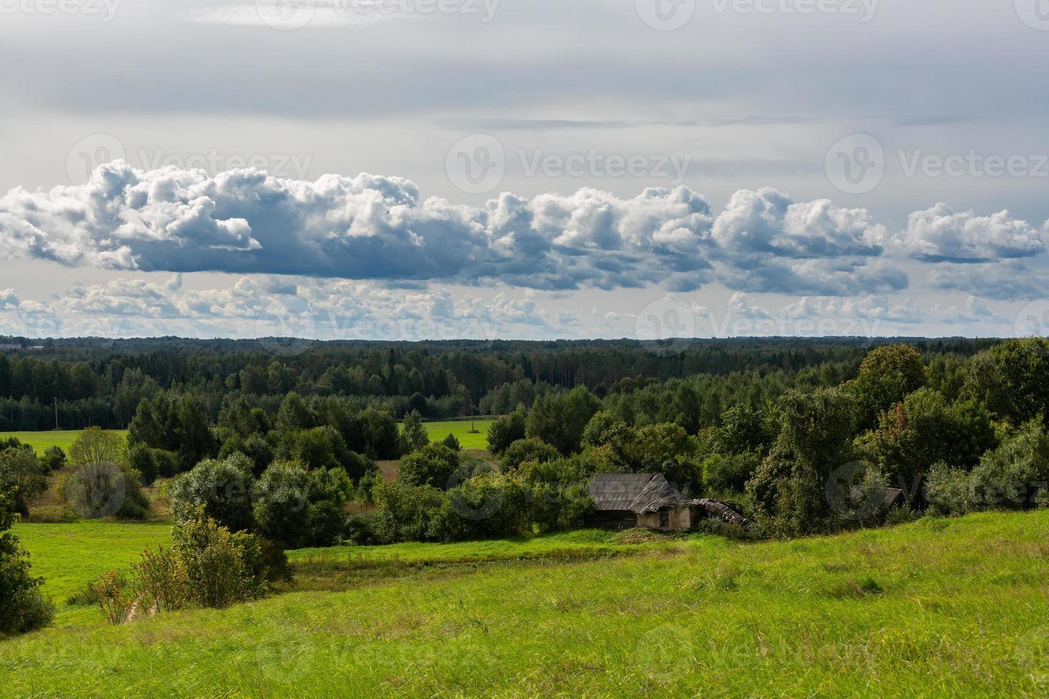 Summer Landscapes  in Latvia photo