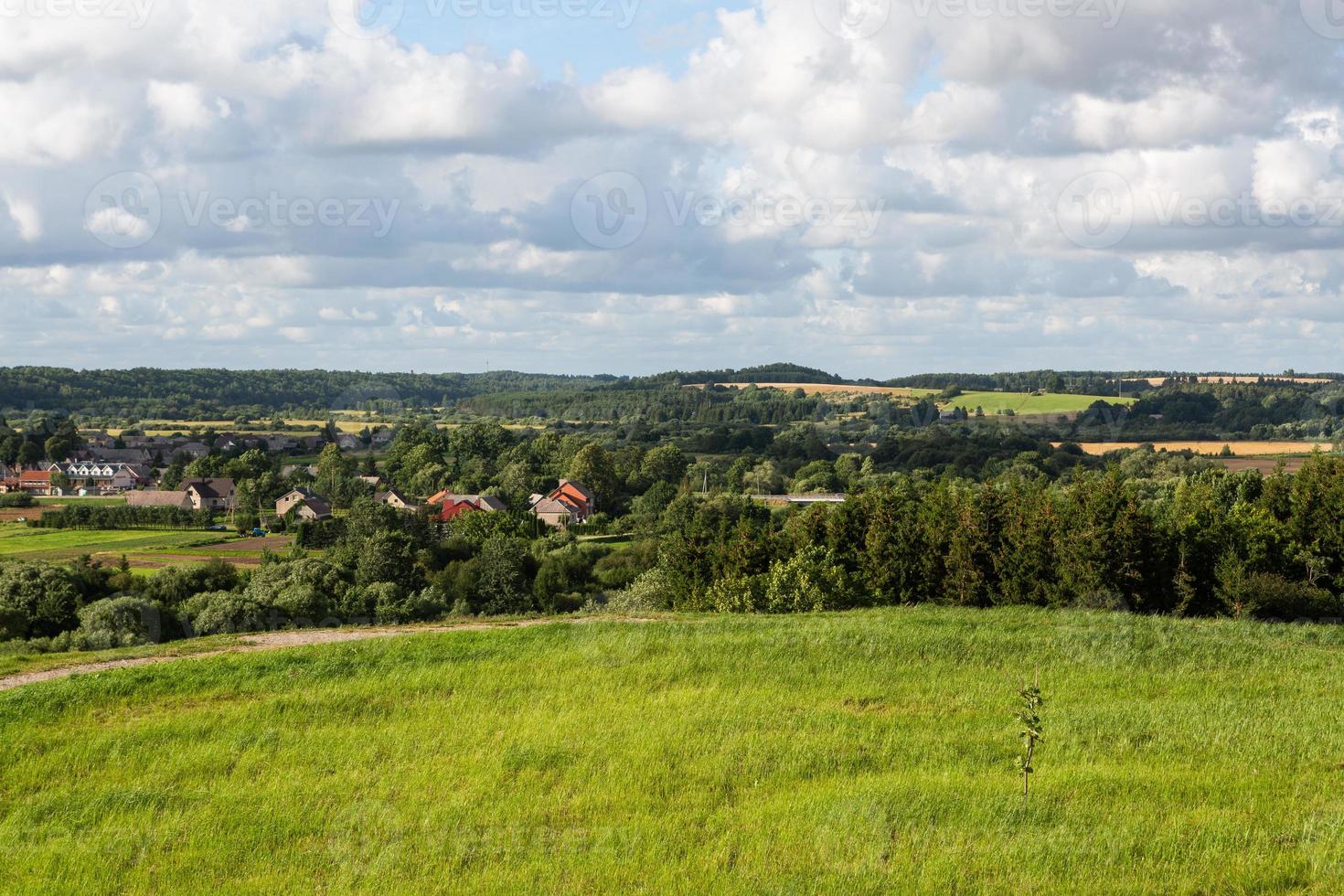 Lake Landscapes of Latvia in Summer photo