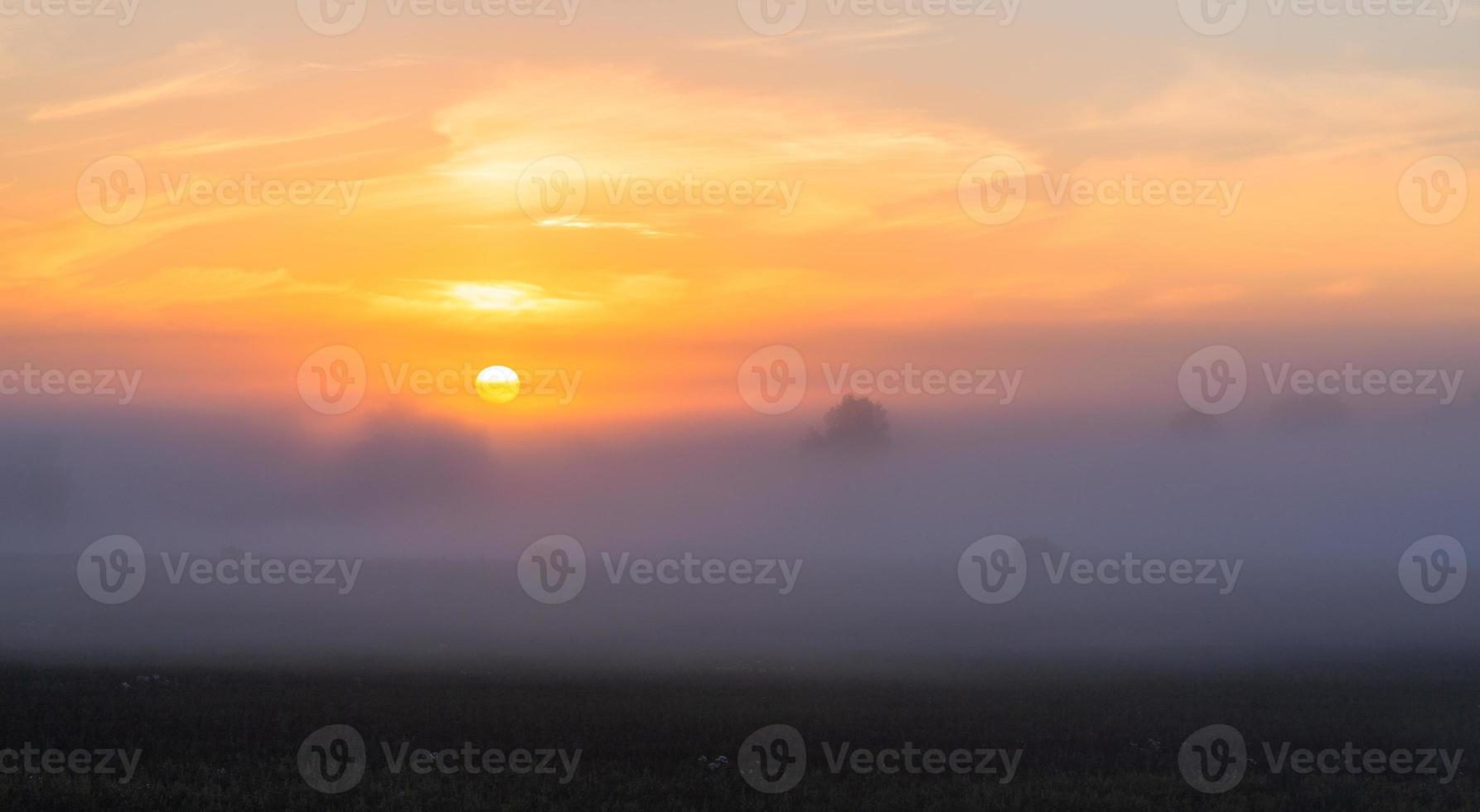 Latvian summer landscapes photo