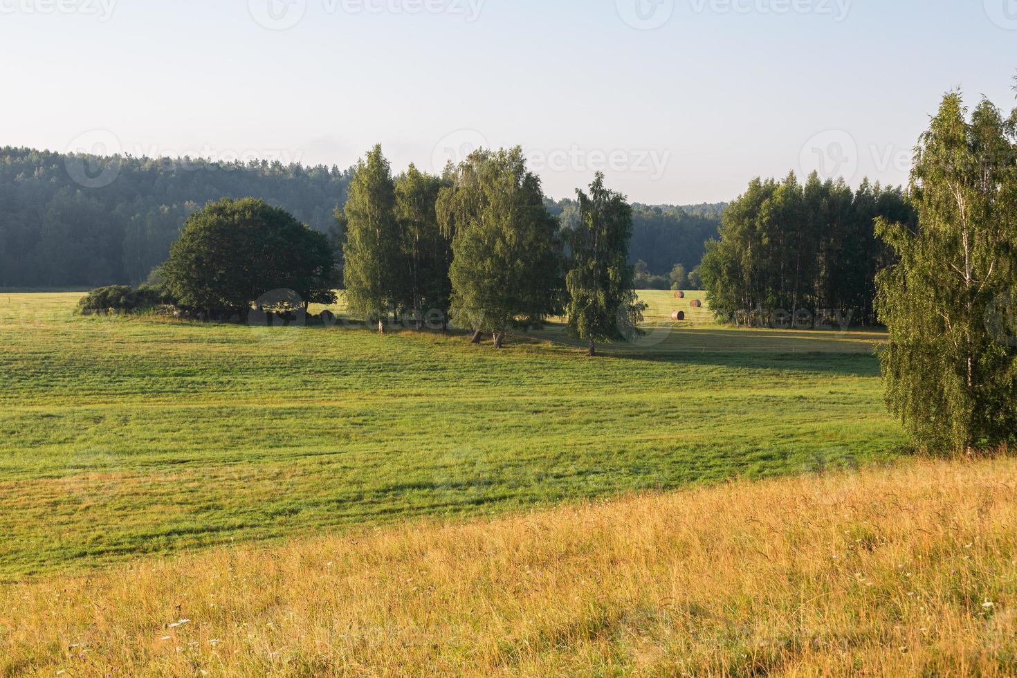 Latvian summer landscapes photo