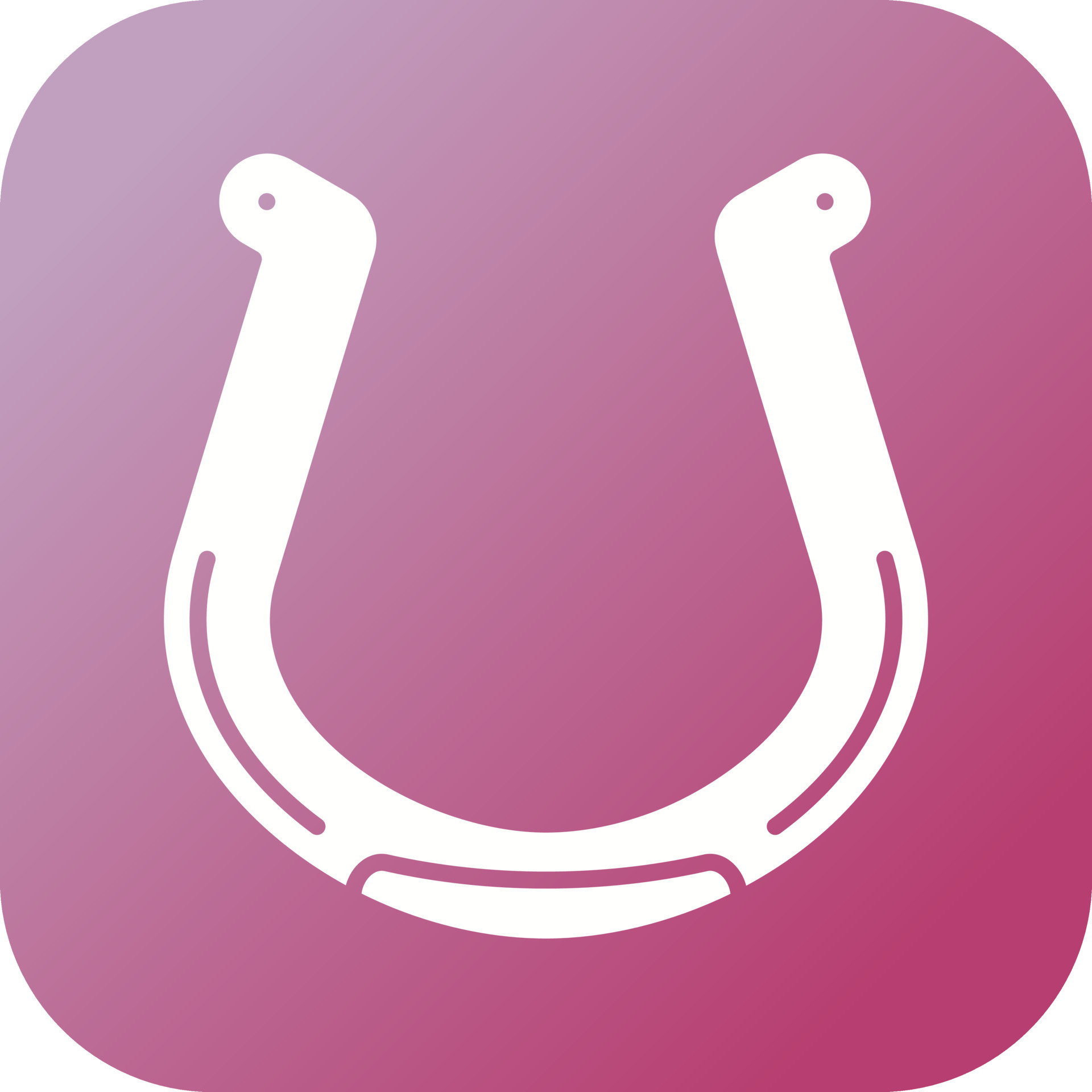 Horseshoe Vector Icon 17148063 Vector Art at Vecteezy