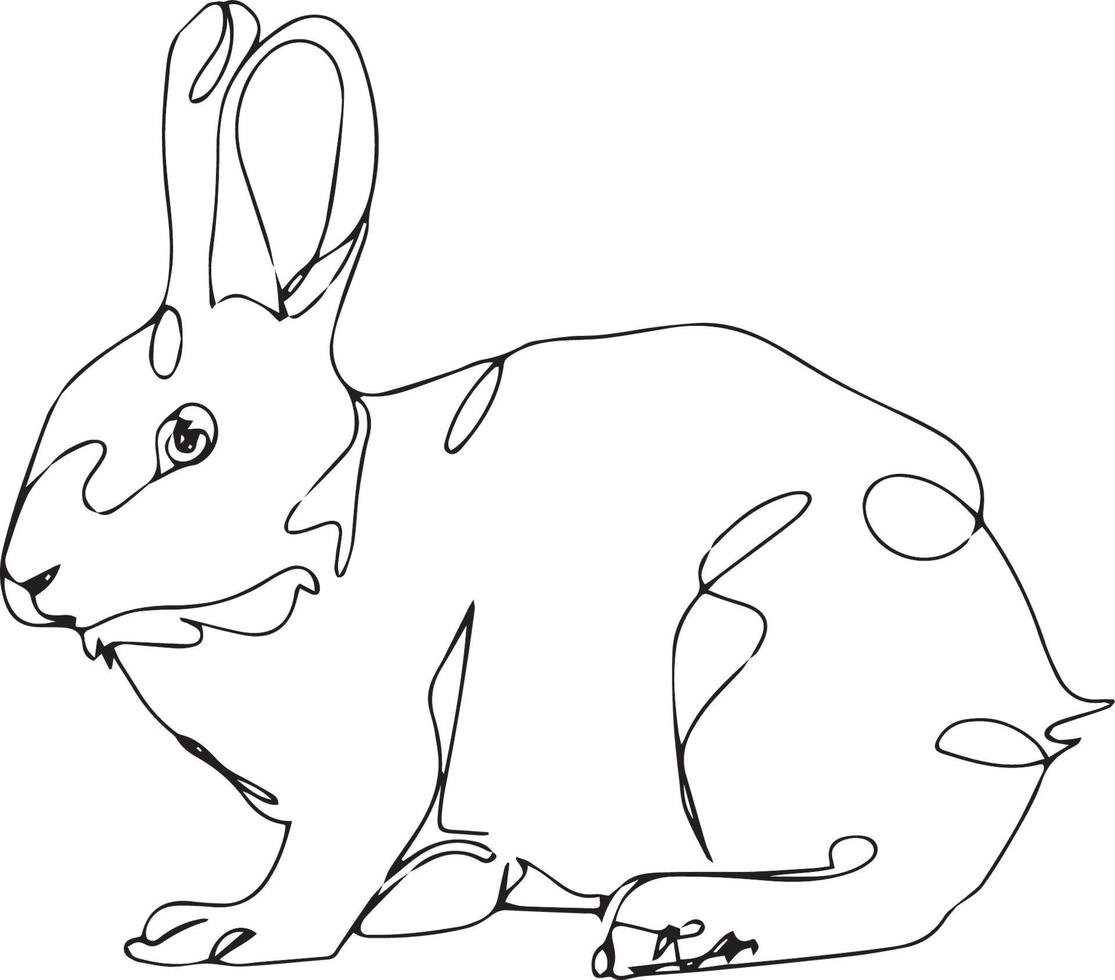 Rabbit Line Art vector illustration