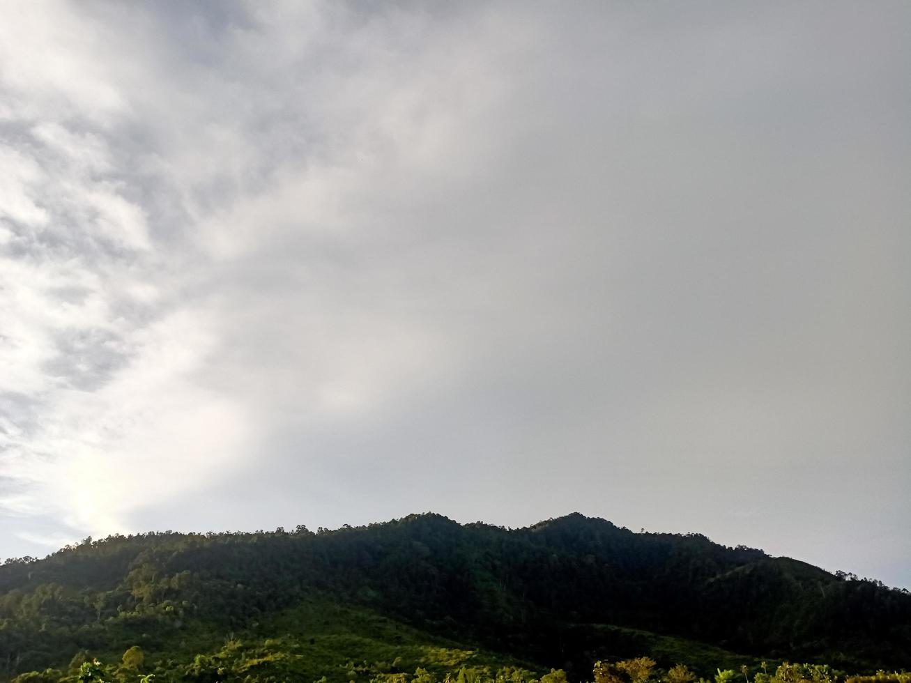 hermoso paisaje natural durante el día foto