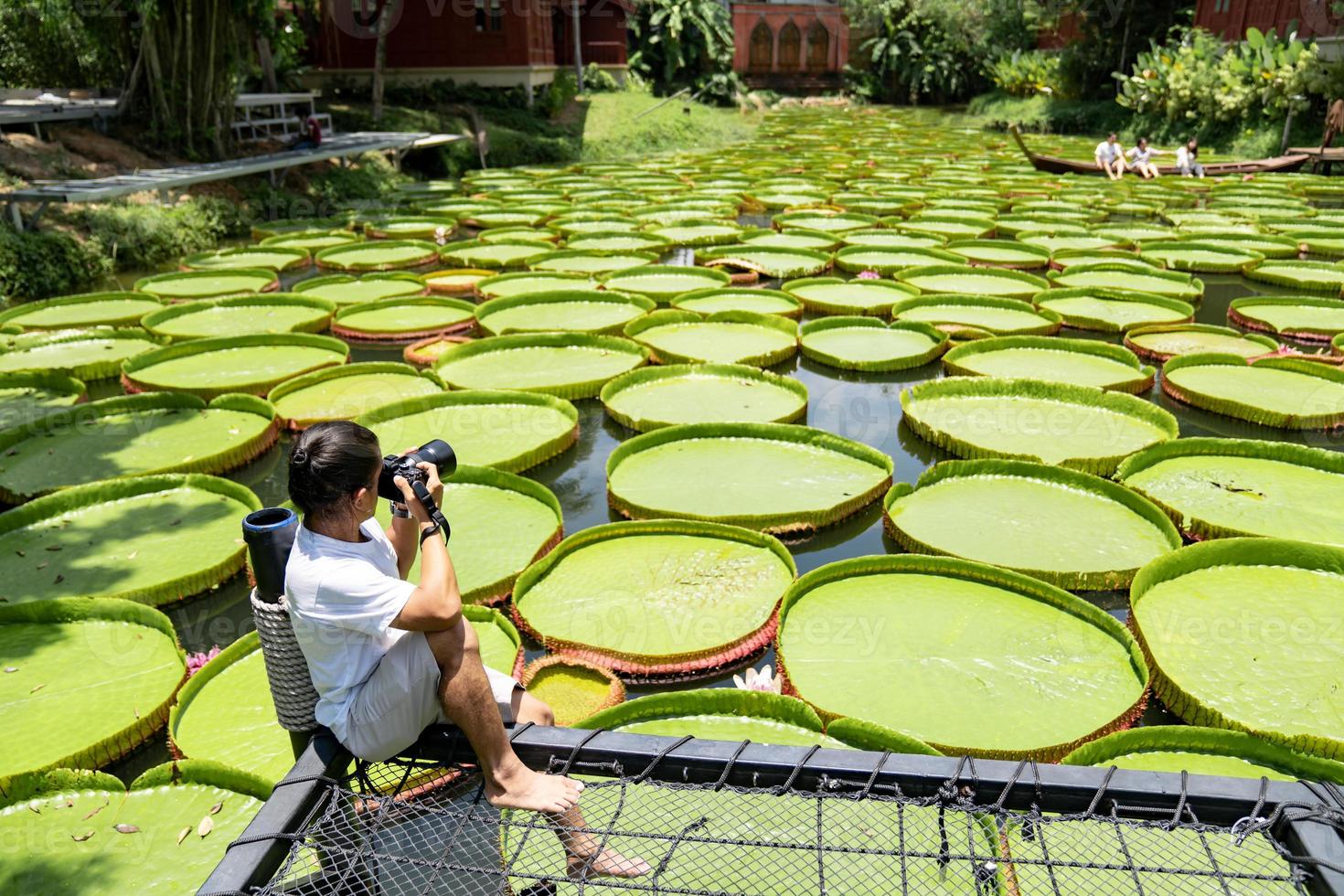 Asian Man is holding a camera and taking a photo at outdoor field with the Lily Lotus Leaf pond background.