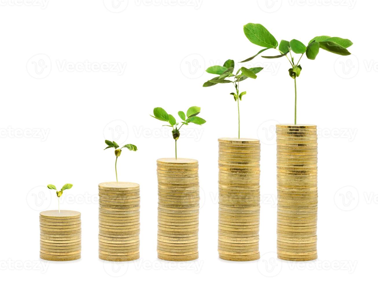 Money Trees are growing on the tower gold coin stack, increasing from small to high. Money Saving financial growth concept on isolated white background. Clipping paths photo