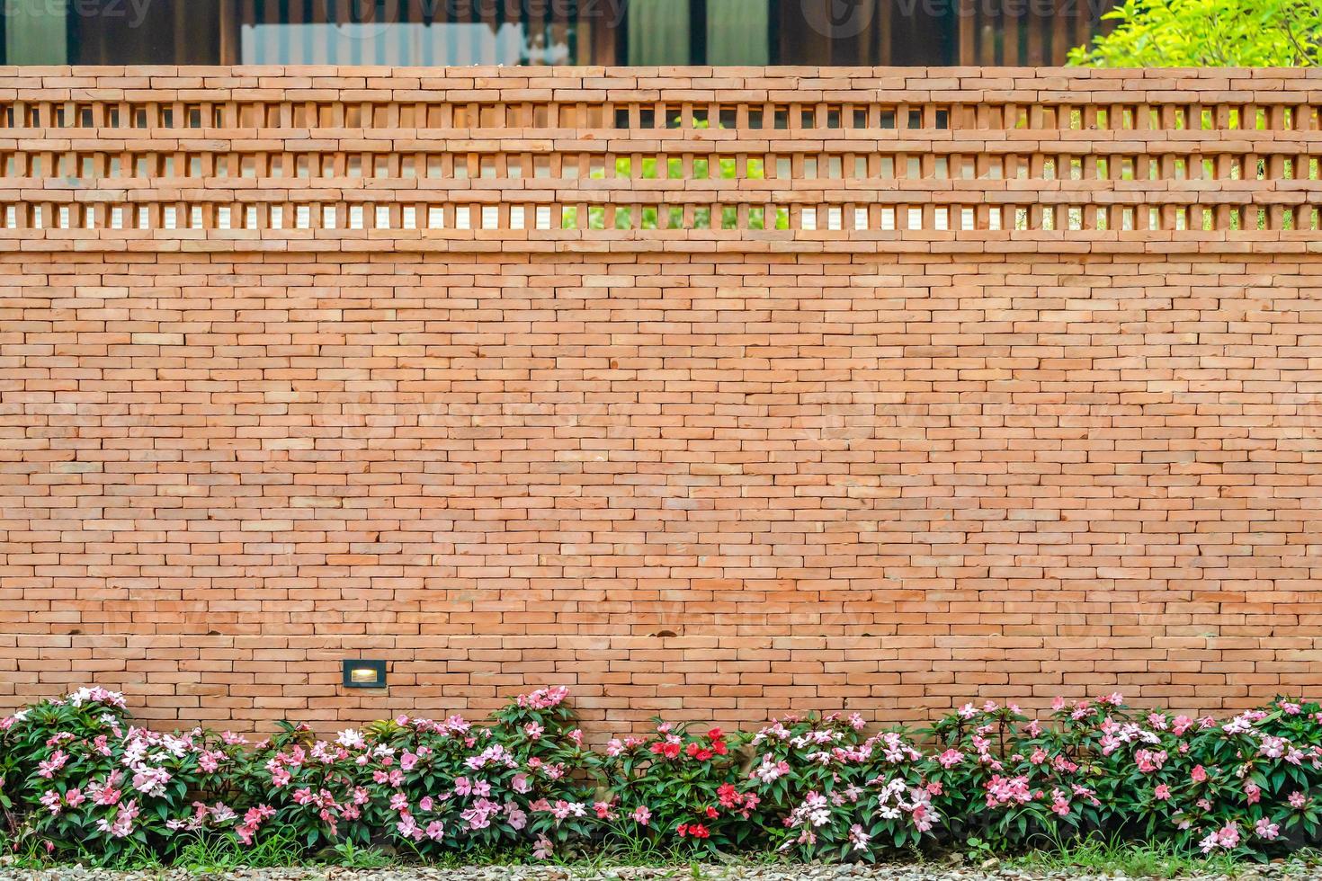 el telón de fondo de la pared de ladrillo con rosa - flor blanca en la parte inferior para la historia de fondo de combinación de arquitectura y naturaleza. foto