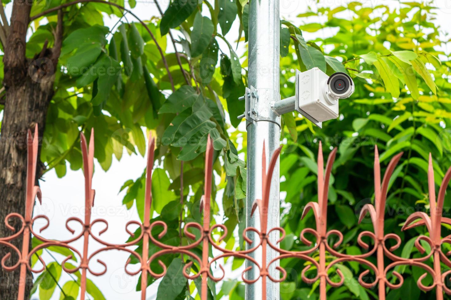 CCTV camera is installed in the garden with blur green tree background for monitor and safety system control around that area. photo