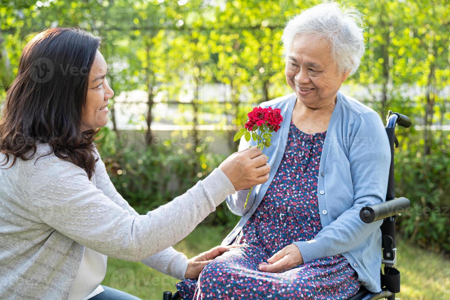 la hija del cuidador abraza y ayuda a una anciana asiática o anciana sosteniendo una rosa roja en silla de ruedas en el parque. foto