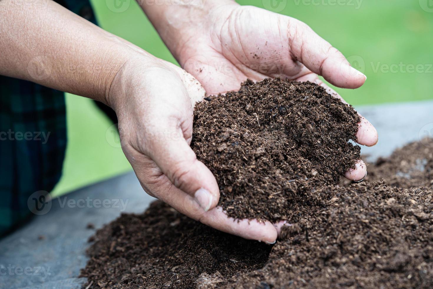 Hand holding peat moss organic matter improve soil for agriculture organic plant growing, ecology concept. photo