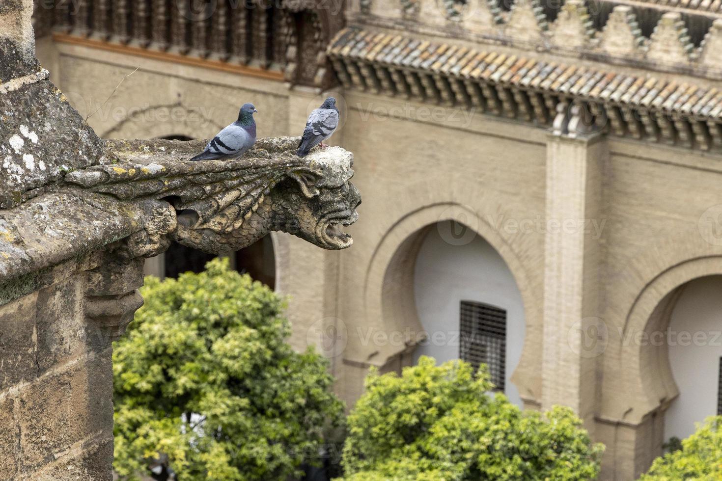 Seville Cathedral Rooftop photo