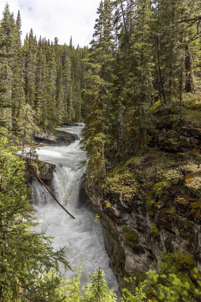 Johnston Canyon, Alberta, Canada photo