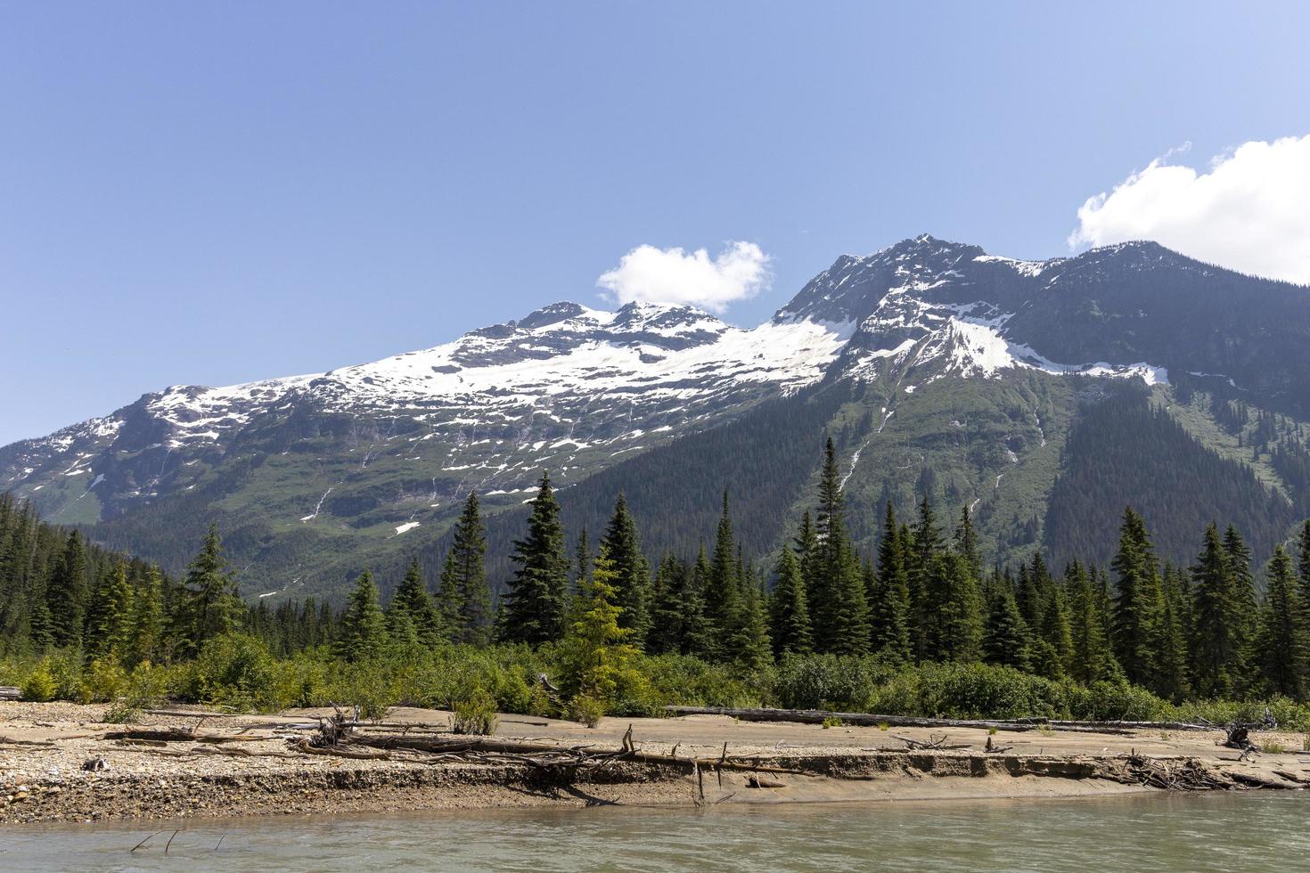 Mud Lake, Blue River, BC, Canada photo