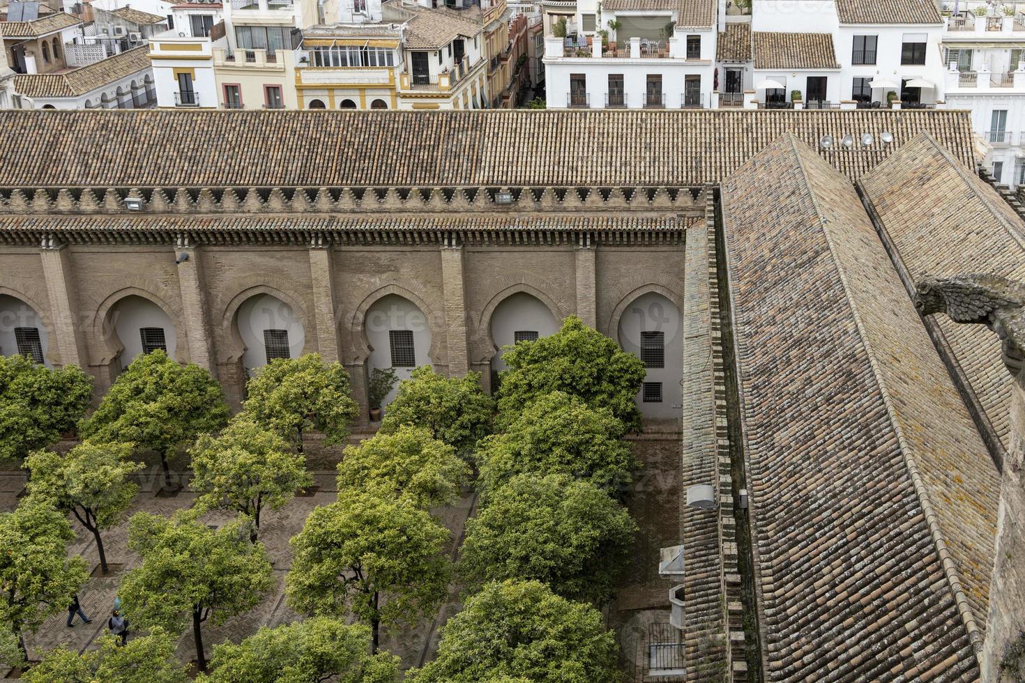 Seville Cathedral Rooftop photo