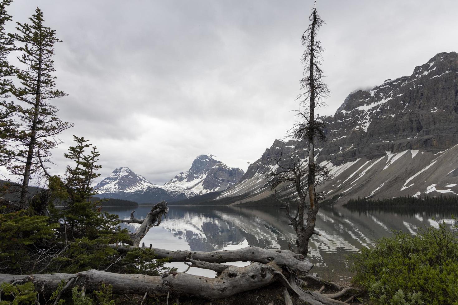 Bow Lake, Alberta, Canada photo