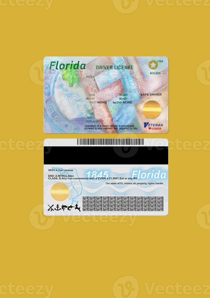 editable-blank-florida-driver-license-dl-template-17153974-stock-photo