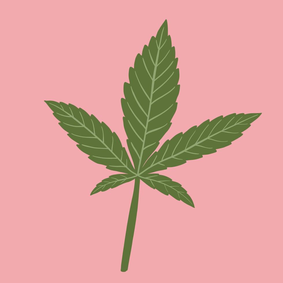 simplicity cannabis leaf freehand drawing flat design. vector