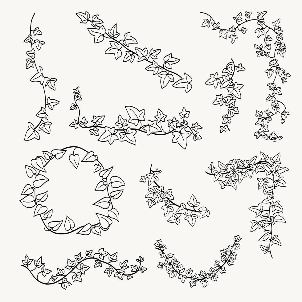 Floral ivy drawing decorative ornament flat design collection. vector