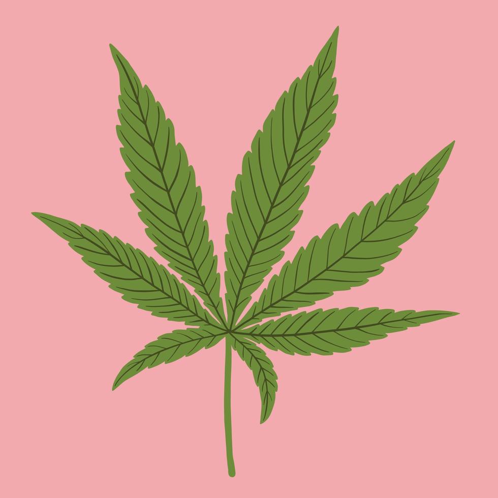 simplicity cannabis leaf freehand drawing flat design. vector