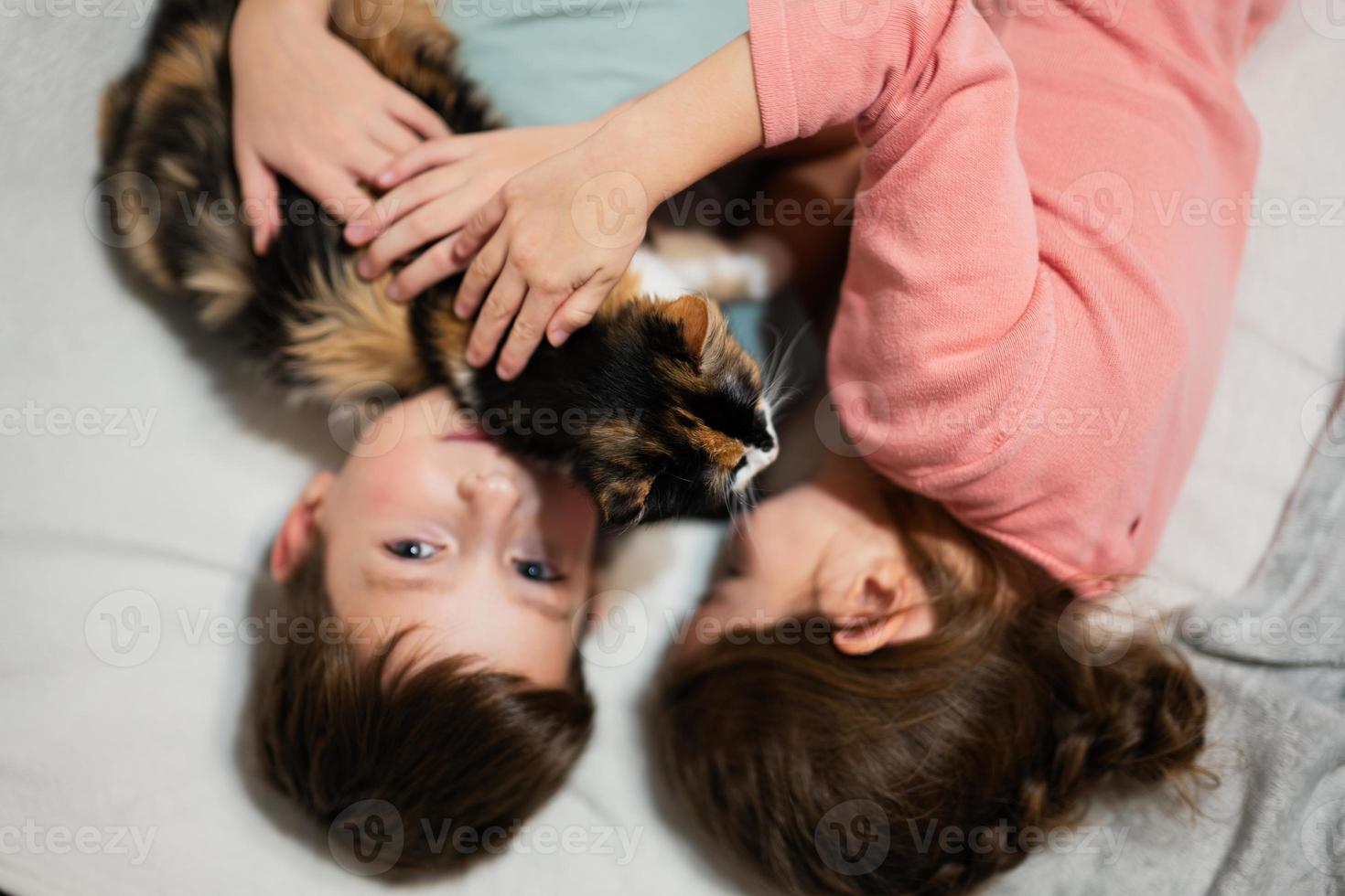 Brother and sister with kitty cat lying on the sofa. Children's love for pets. photo