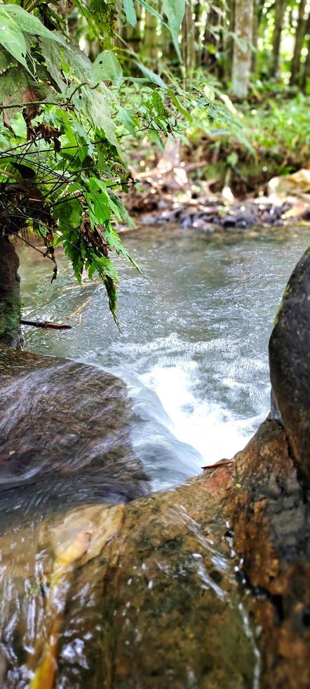 Portrait of a natural river flow that looks clean and far from waste photo
