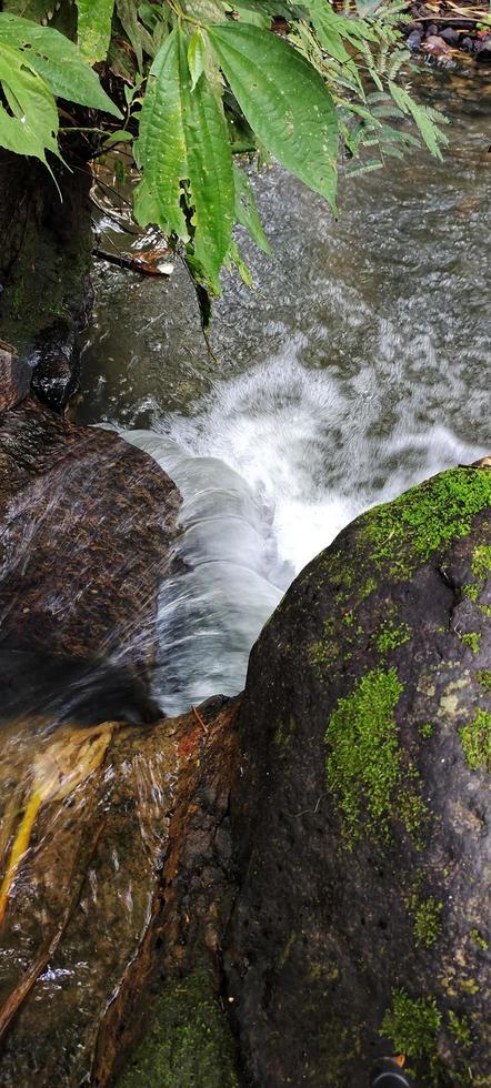 Portrait of a natural river flow that looks clean and far from waste photo