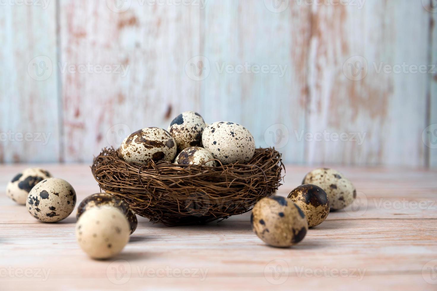 Fresh quail eggs. Rustic style on wood background. Easter banner with place for text photo