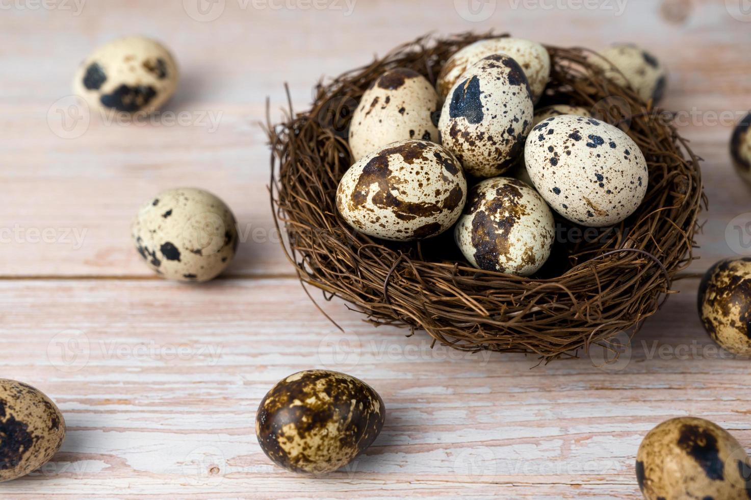 Fresh quail eggs. Rustic style on wood background. Easter banner with place for text photo