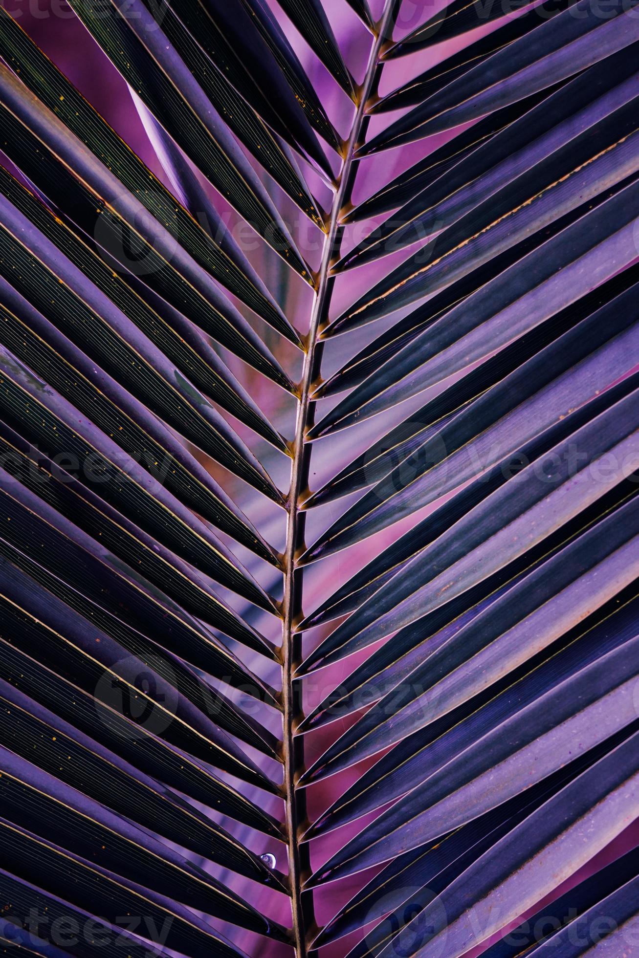 palm tree background purple