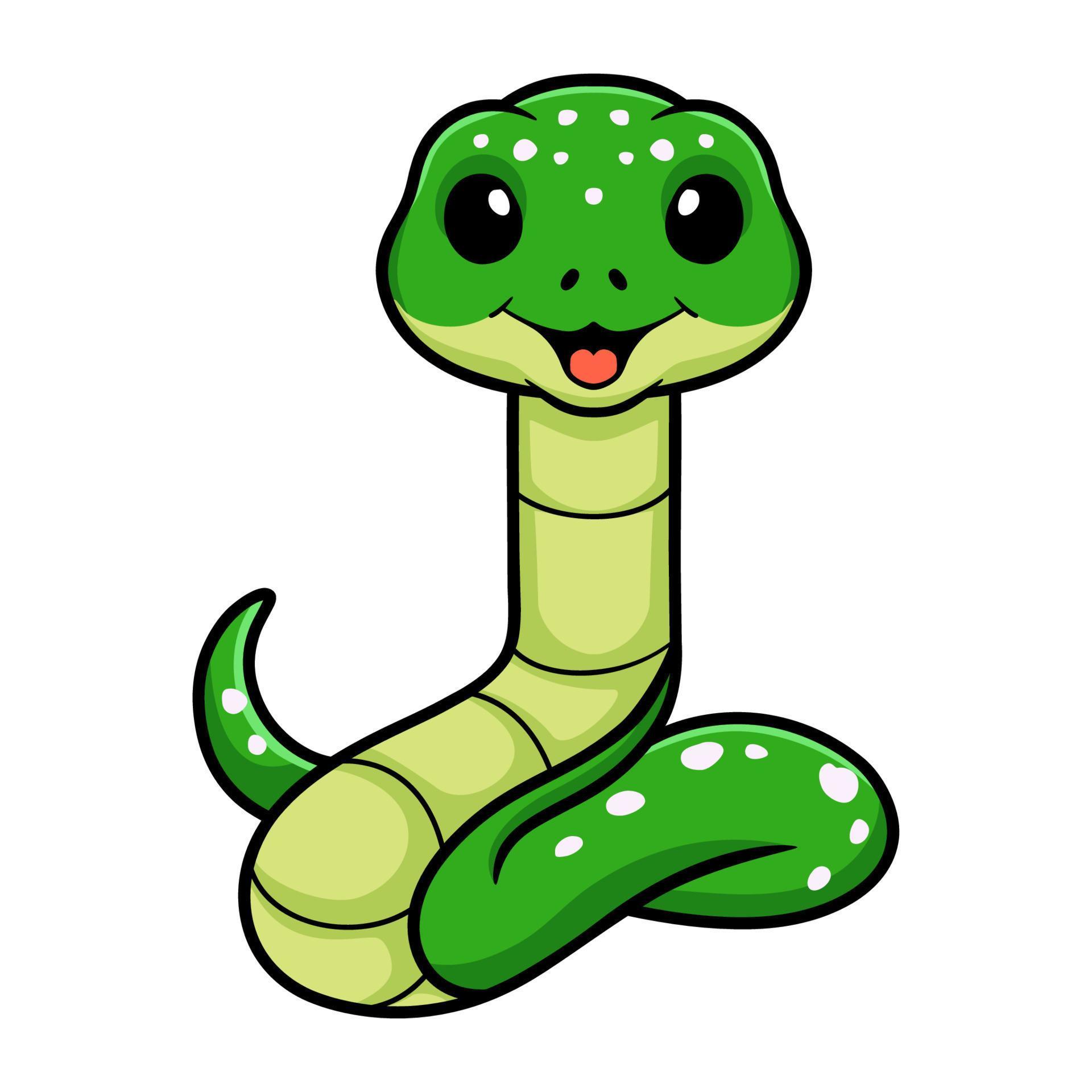 Cute green tree python cartoon 17157589 Vector Art at Vecteezy