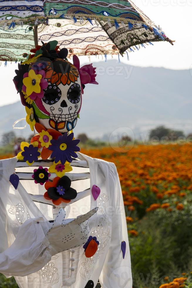 catrina in the field with an umbrella, mexico photo