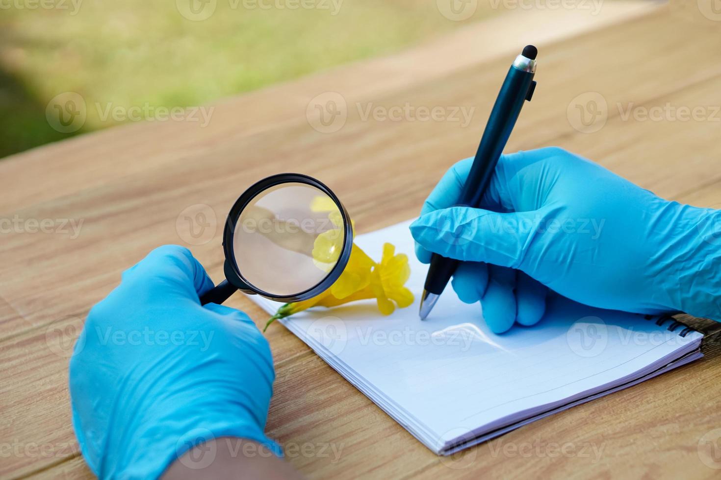 Student  hands in protective gloves hold magnifying glass to inspect flowers, holds pen to write on paper. Concept, science subject, project work. Experiment, education, learning by doing approach. photo