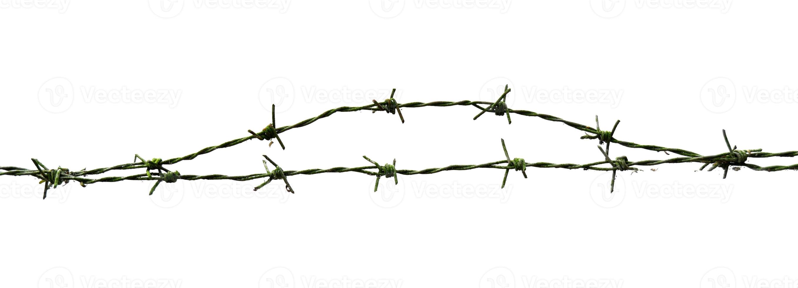 barbed wire isolated on white with clipping path photo