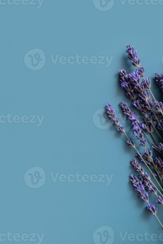 Lavender flowers on colored background top view. Text space. photo