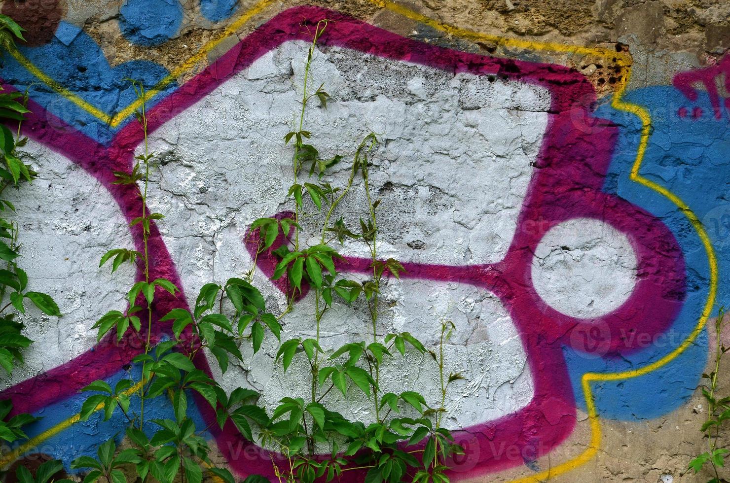 A detailed image of a colored graffiti drawing, which is overgrown in the thickets of ivy. Background street art picture photo