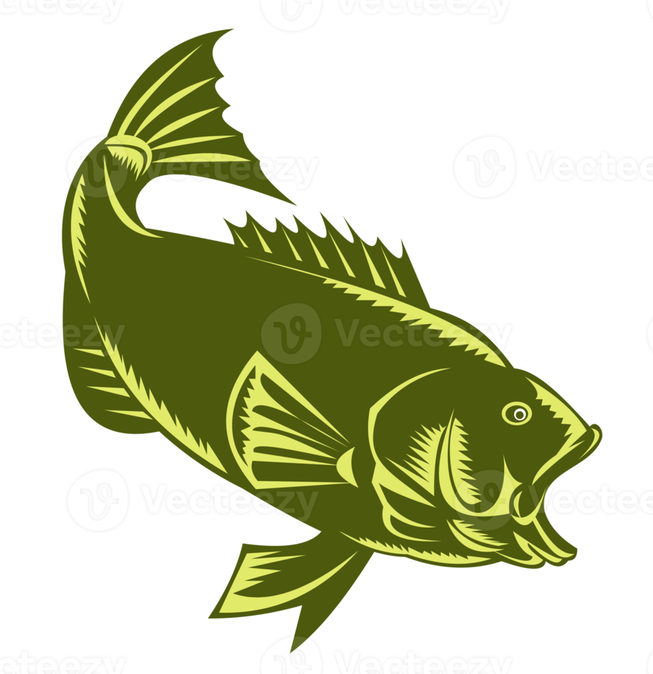 largemouth bas isolerat retro png