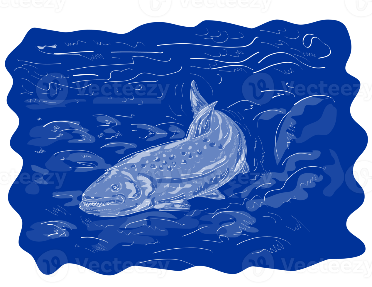 Spotted trout  Isolated Retro png