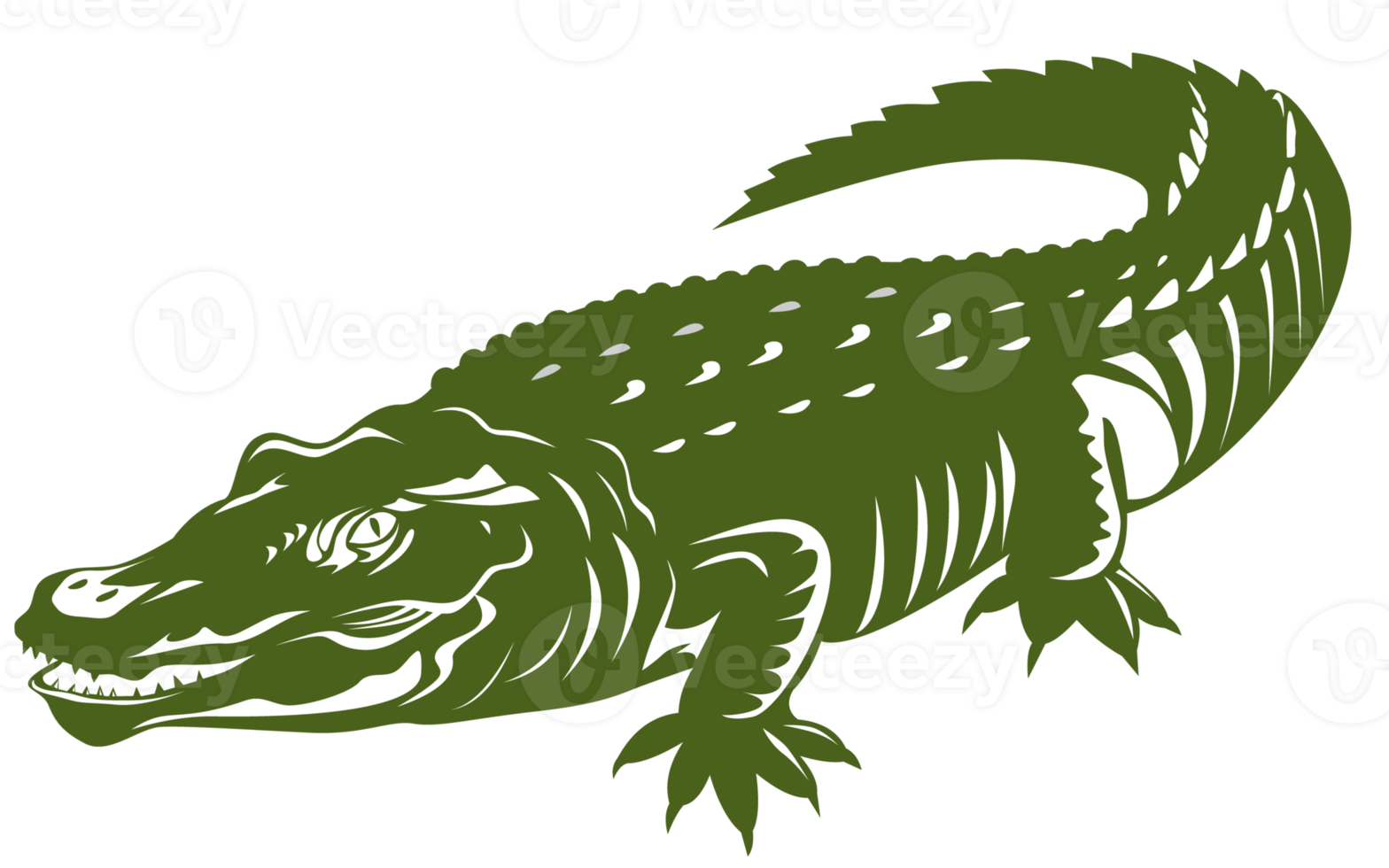 alligator krokodil geïsoleerd achtergrond png