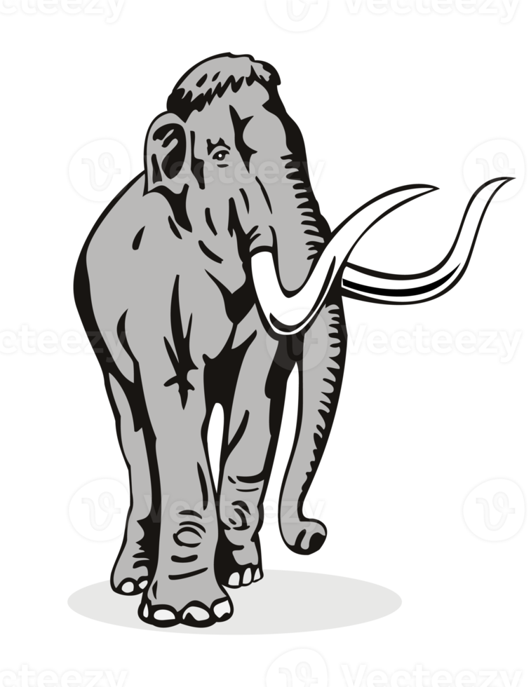Mammoth Elephant  Isolated Background png