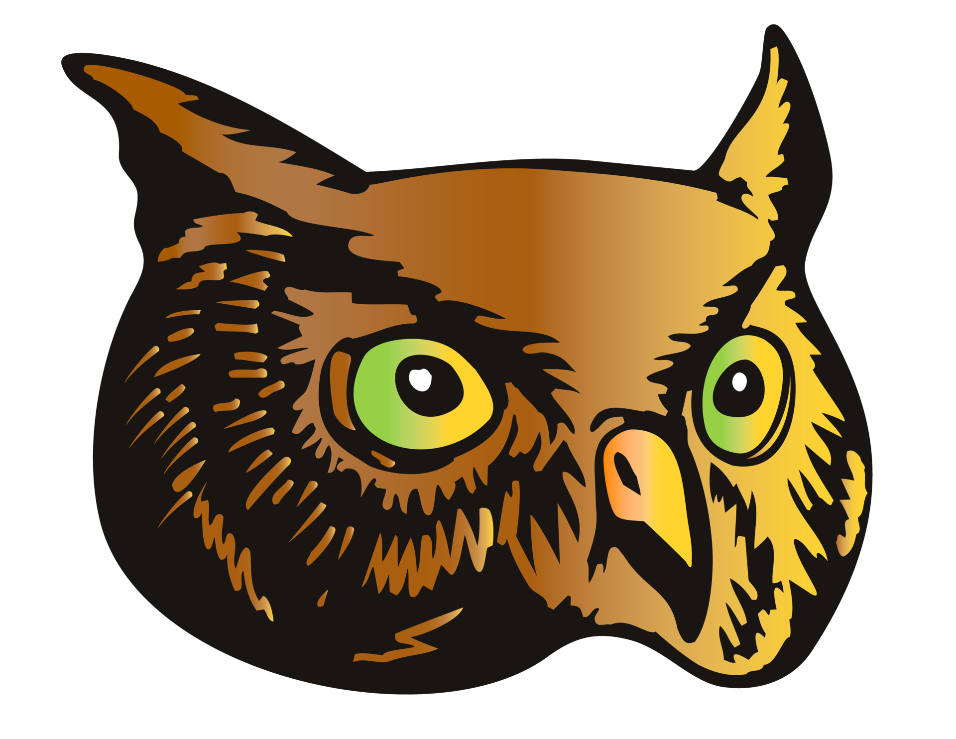 Free Owl Head Isolated 17164588 PNG with Transparent Background